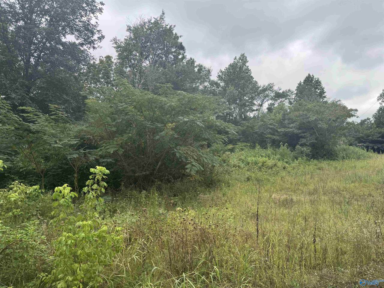 Lot 9 Welcome Home Church Road - Photo 1