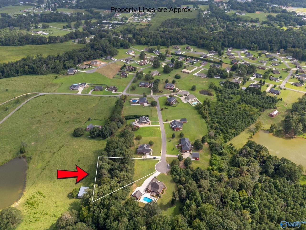 Lot 12 Mitchem Lane - Photo 1