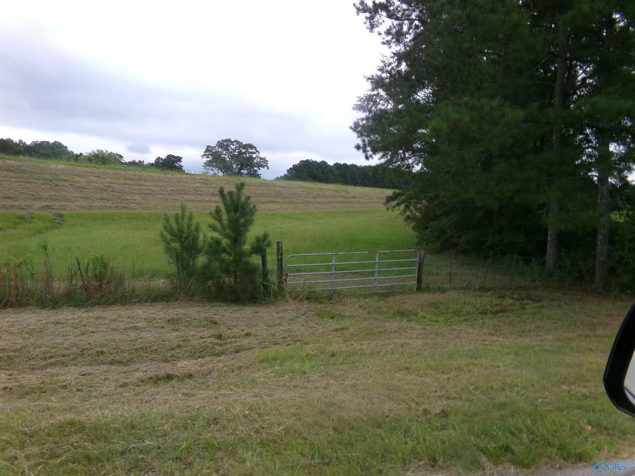 Lots 4- 9 County Road 235 - Photo 1