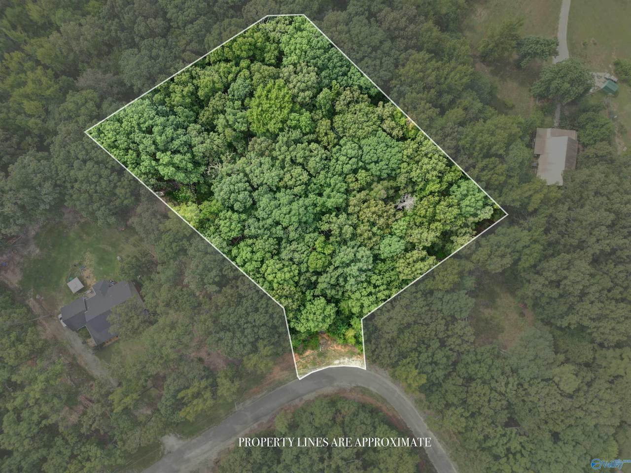 lot 14 County Road 379 - Photo 1