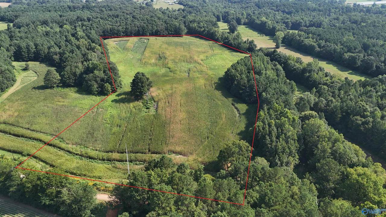 2435 County Road 221 - Photo 1