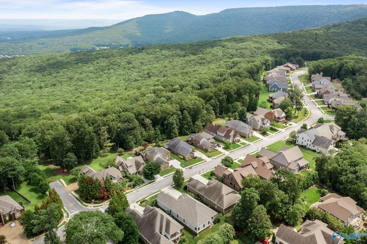 19 Acres Hawks Way - Photo 1
