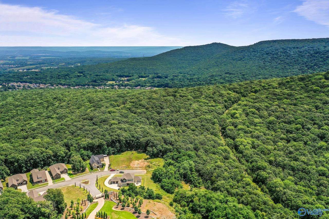 35.5 Acres Hawks Way - Photo 1