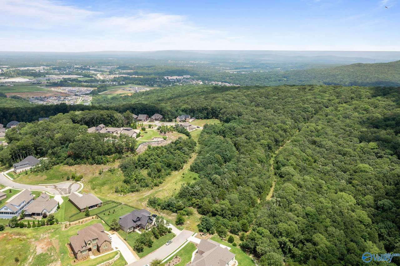 8.6 Acres High Mountain Road - Photo 1