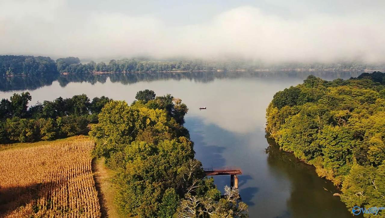 24.2 Acres C C Ivey Road - Photo 1