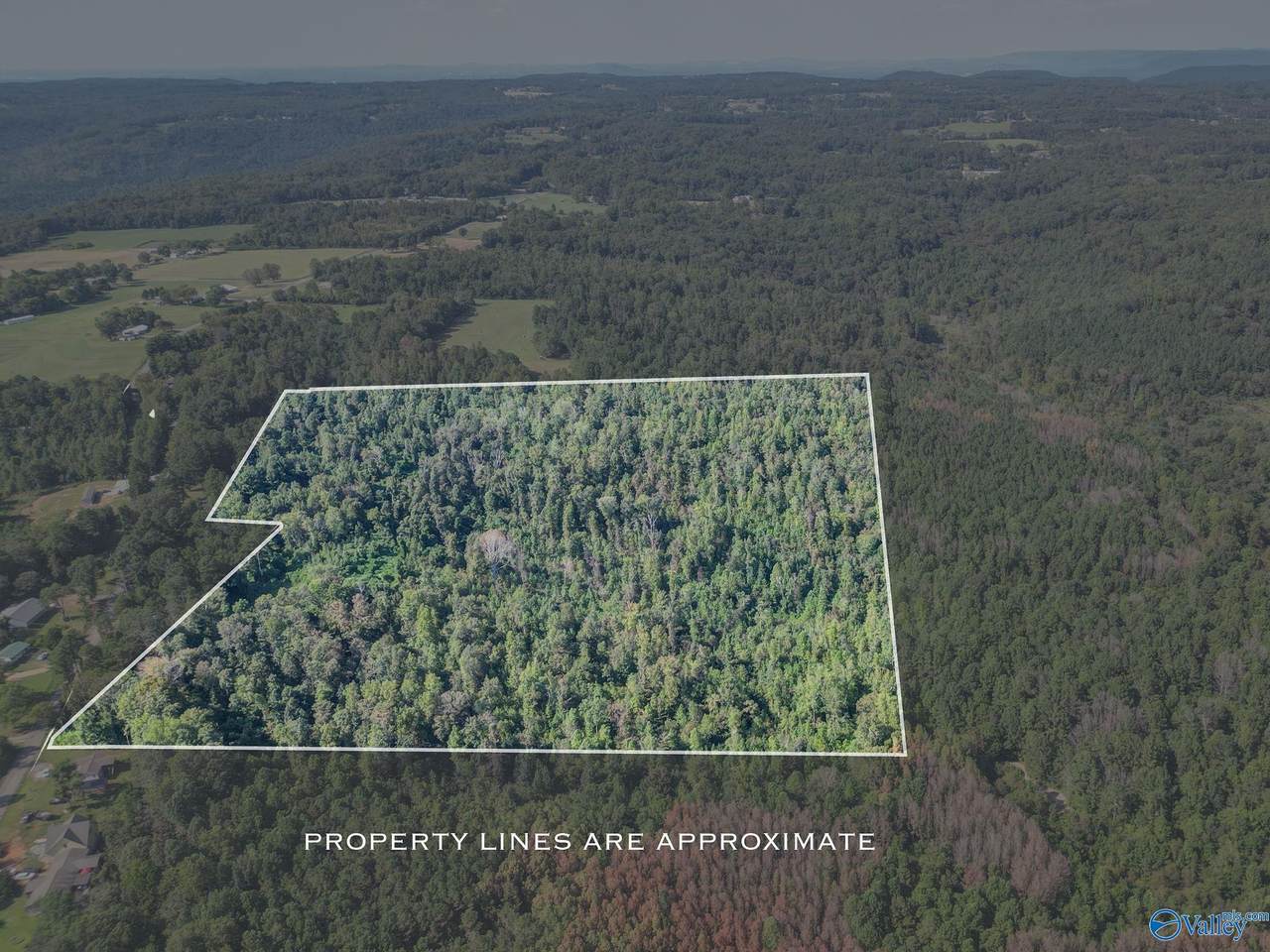 35 ACRES Pine Ridge Road - Photo 1