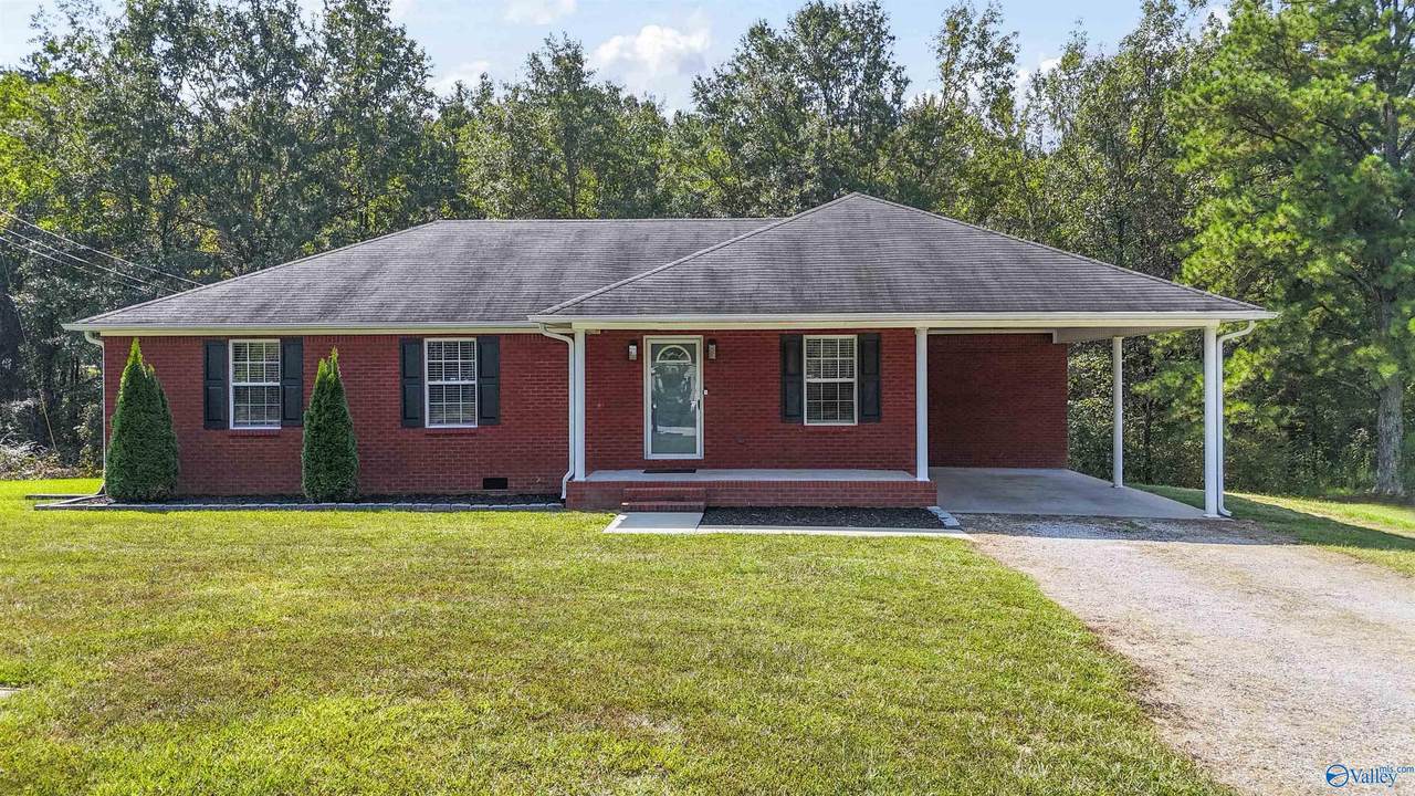 67 County Road 279 - Photo 1