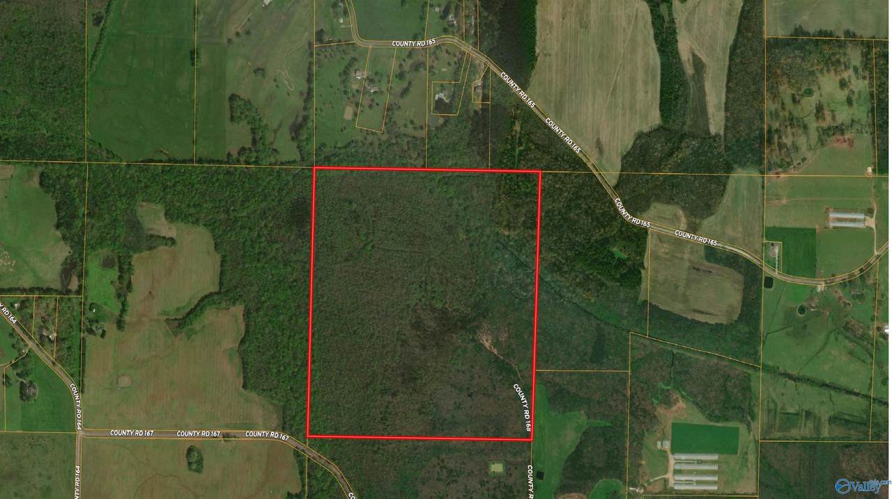 160 acres County Road 167 - Photo 1