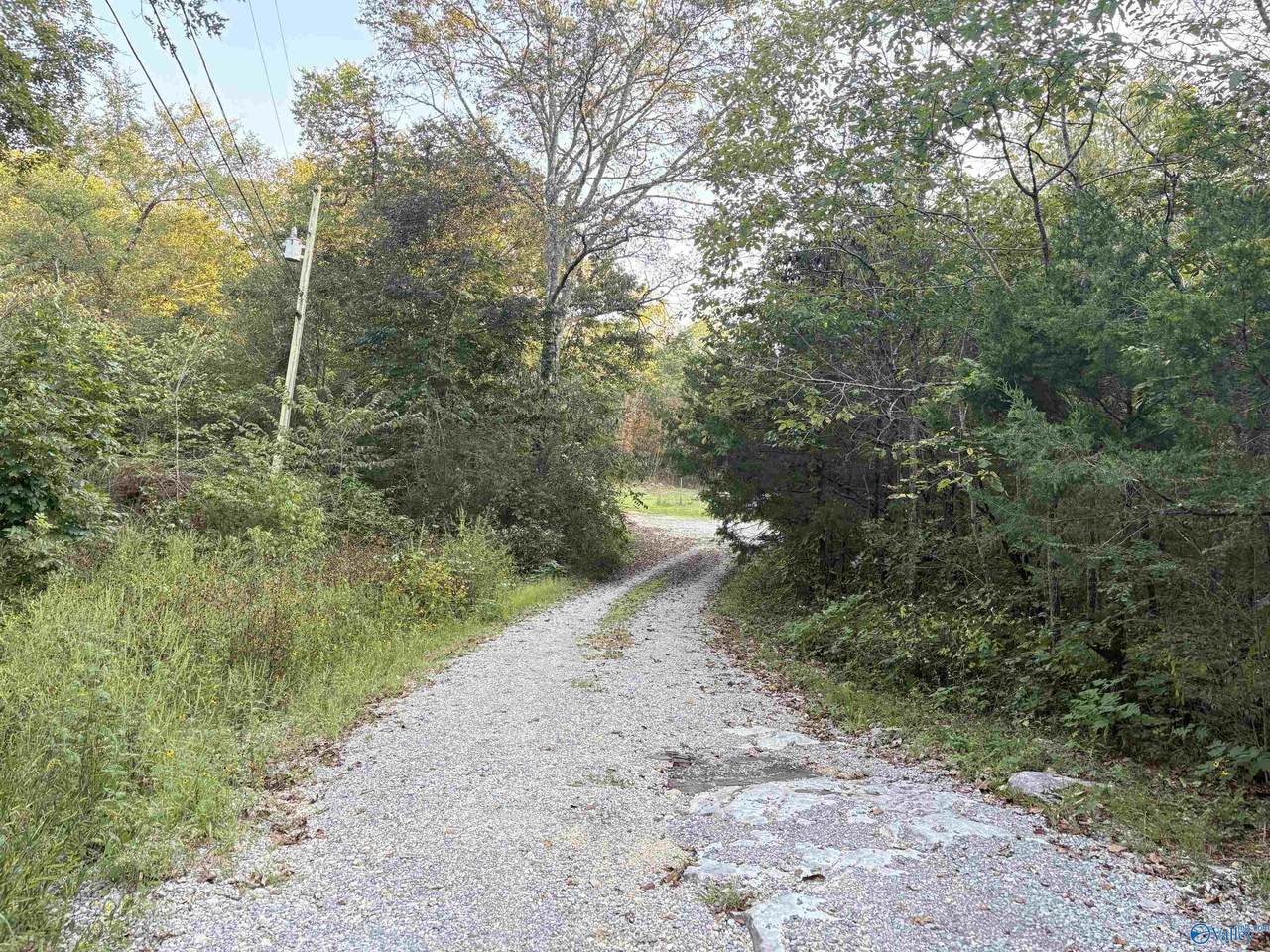 18791 Alabama Highway 35 - Photo 1