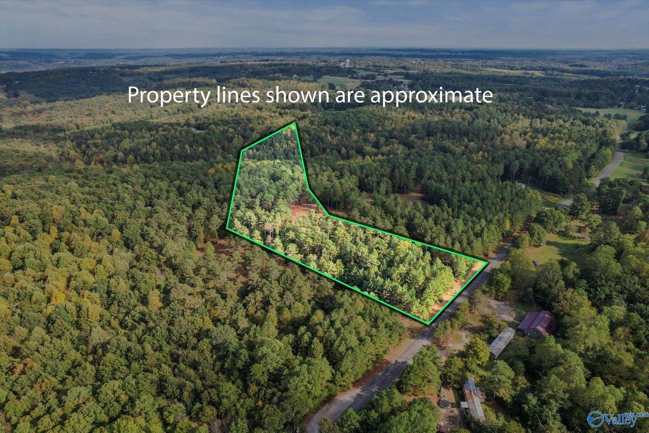 8.6 Acres Davis Gap Road - Photo 1