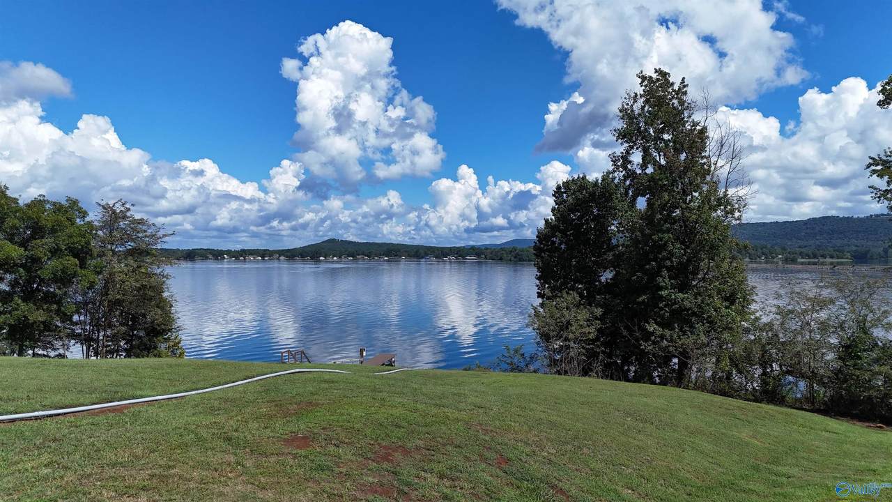 Tract 4 Pinewood Drive - Photo 1