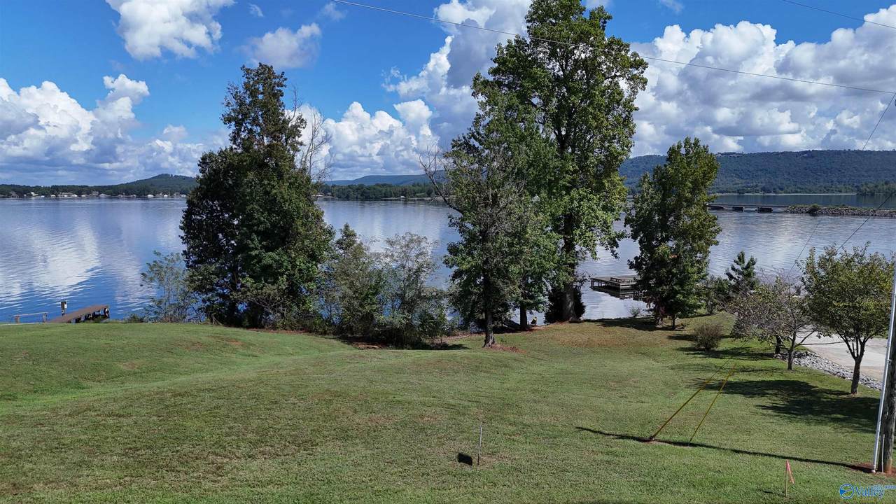 Tract 3 Pinewood Drive - Photo 1