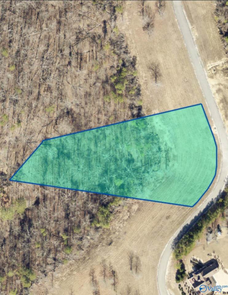 Lot 49 County Road 767 - Photo 1