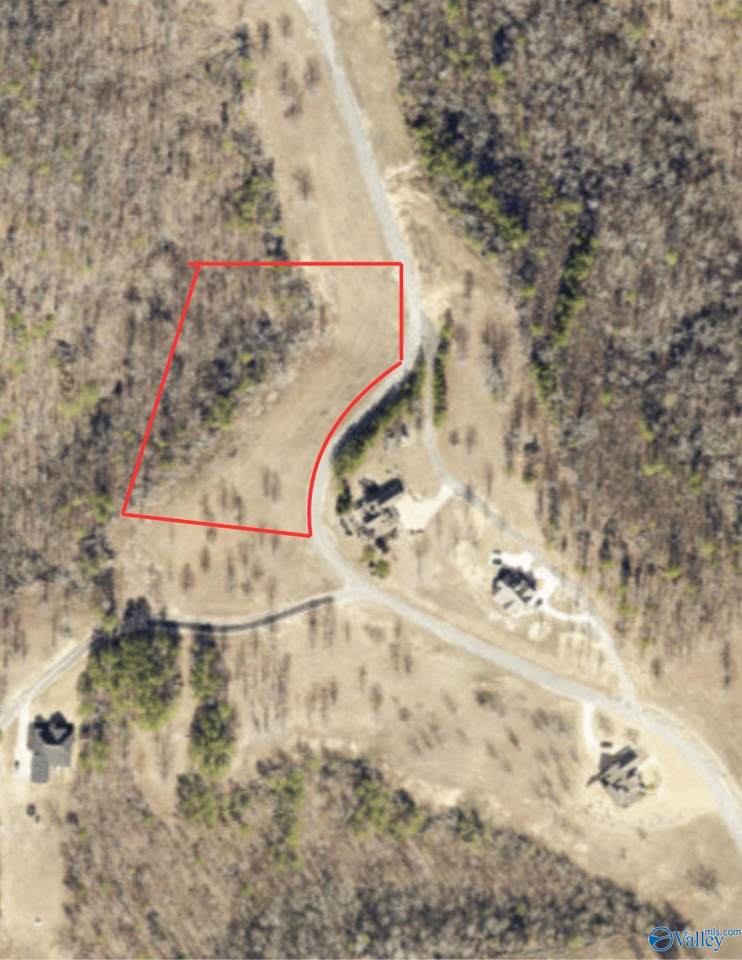 Lot 4948 County Road 767 - Photo 1