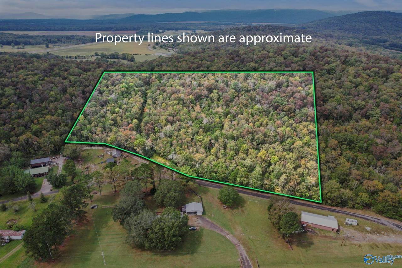 17 Acres Old Grant Road - Photo 1