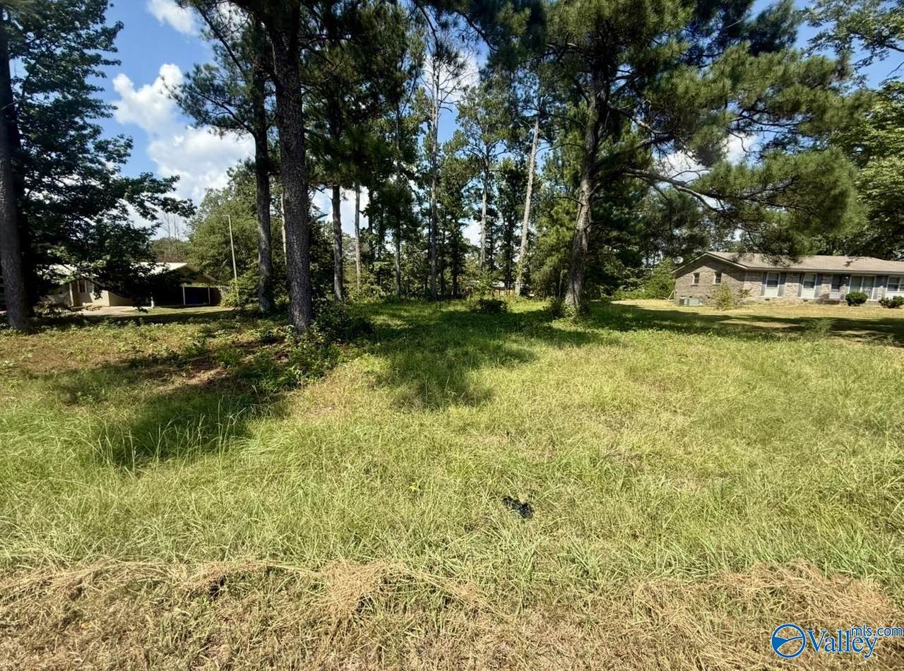 707 Northwood Drive - Photo 1