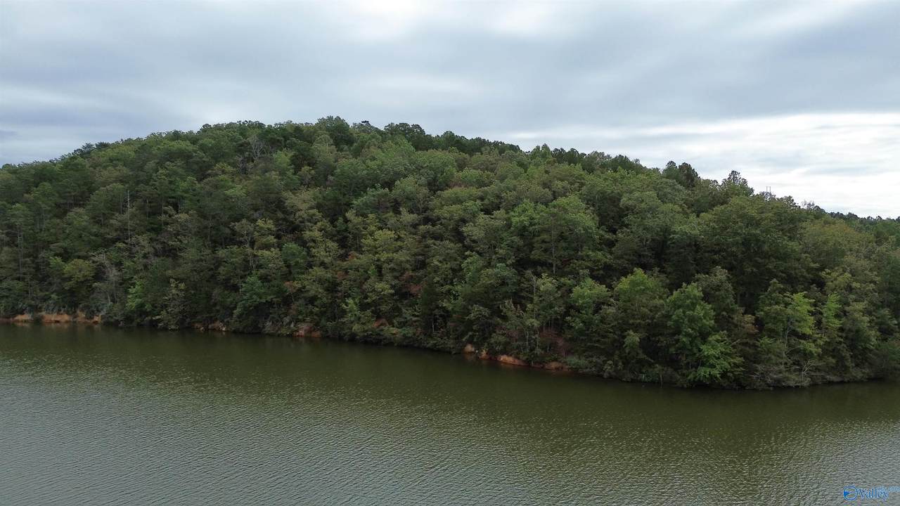 1 Highway 273 - Photo 1