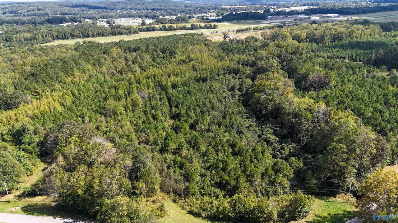 44 Acres Tall Oak Trail - Photo 1