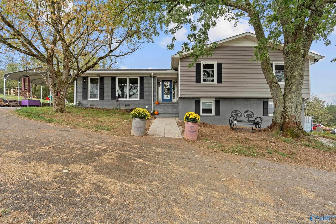 34 Clayton Lane - Photo 1