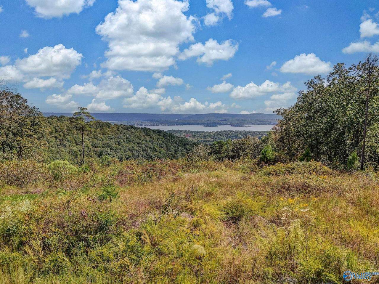 215 Wilson Road - Photo 1