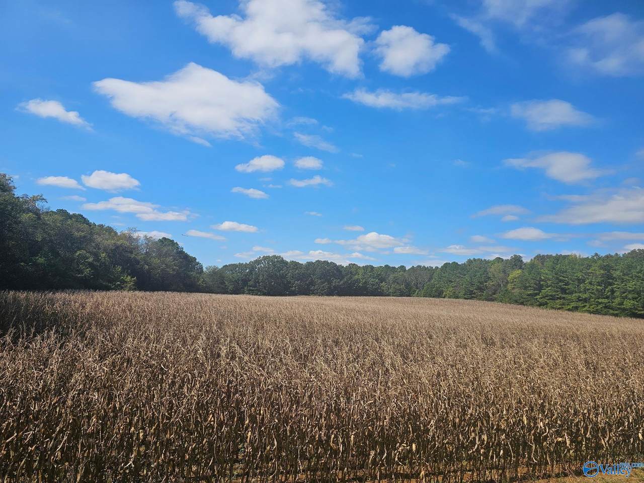 Lot 0 Landess Circle - Photo 1