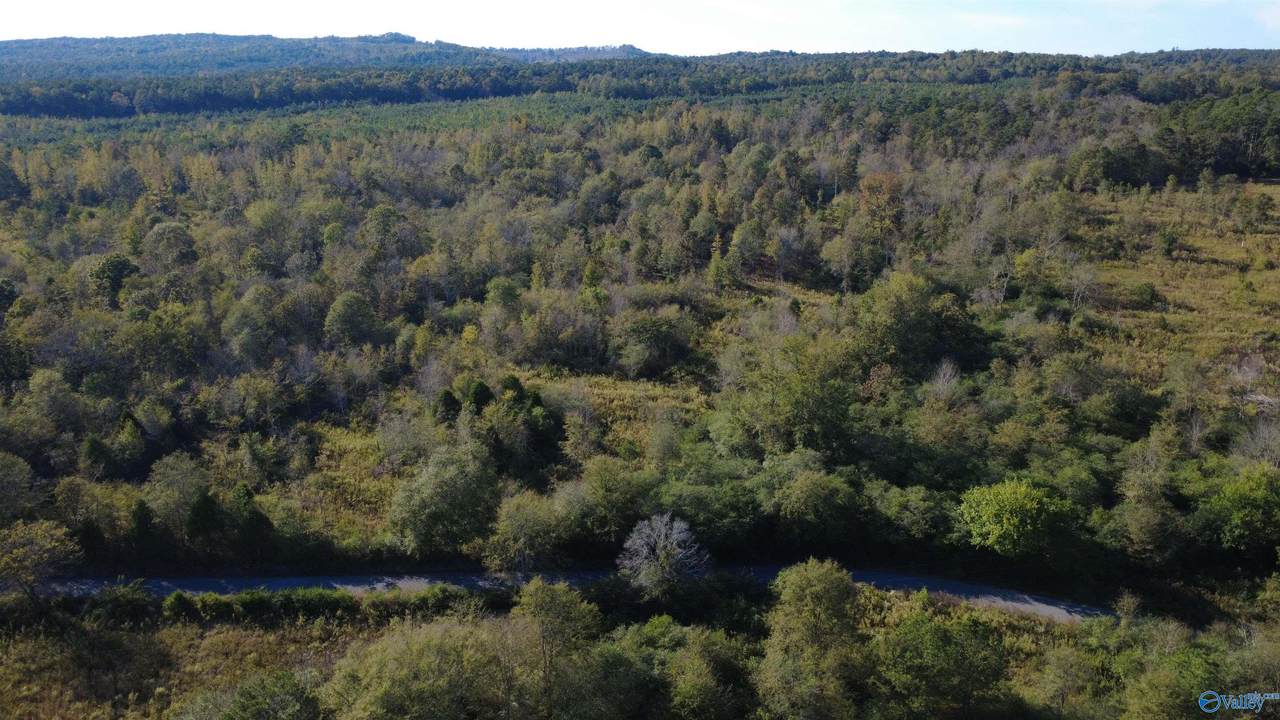 37 Acres-3124 County Road 6 - Photo 1