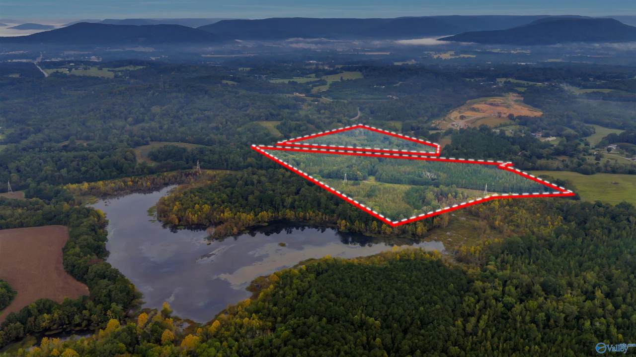 56+/- ac County Road 96 - Photo 1