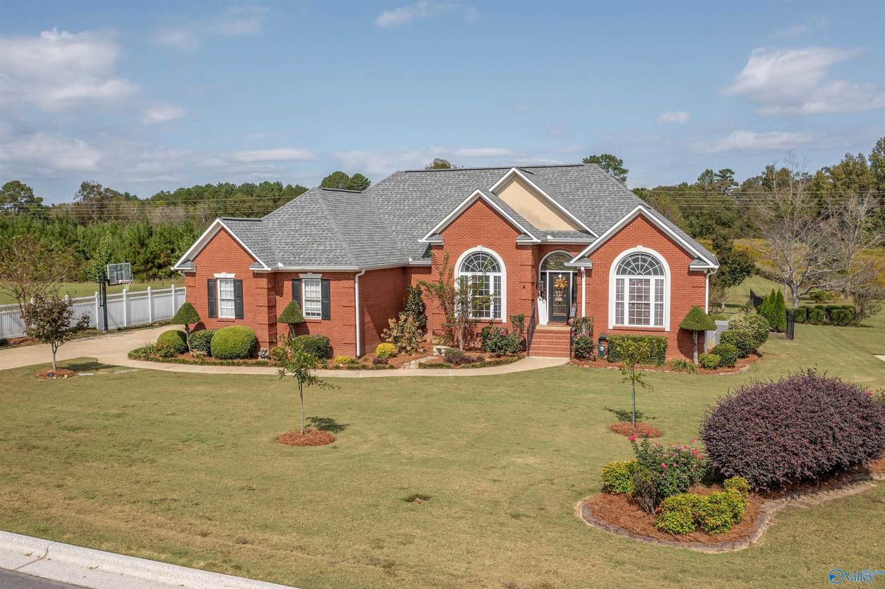 203 Tonia Drive - Photo 1