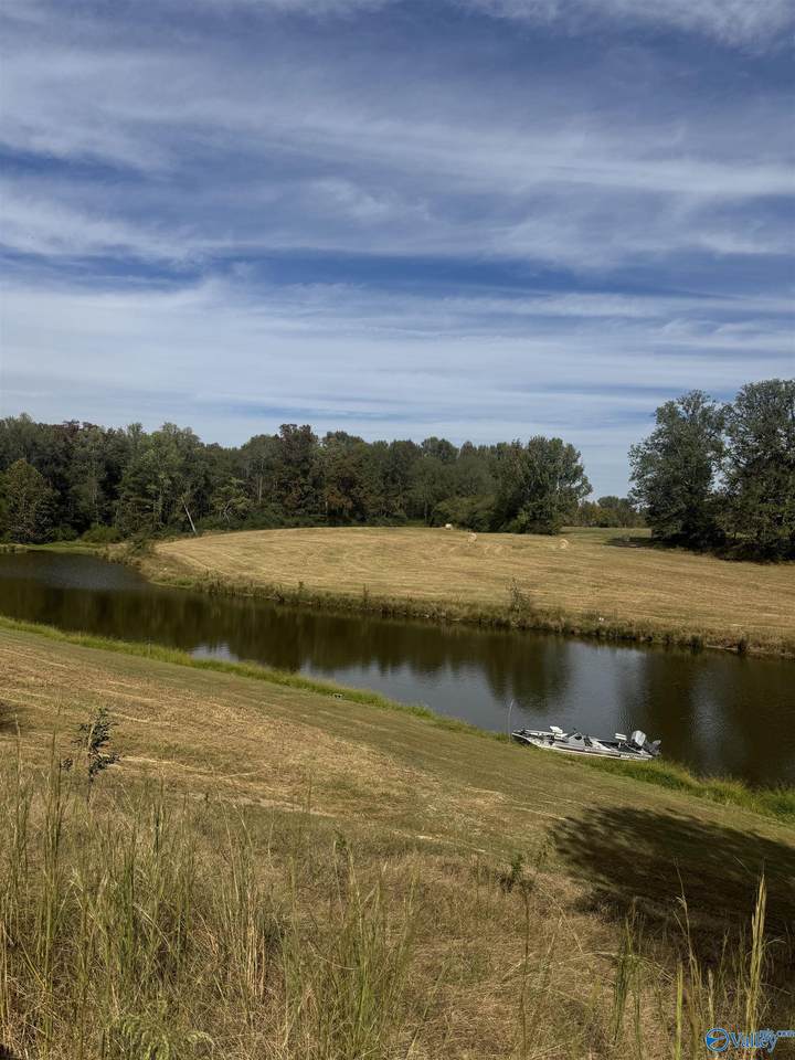 12954 Al Hwy 69 - Photo 1