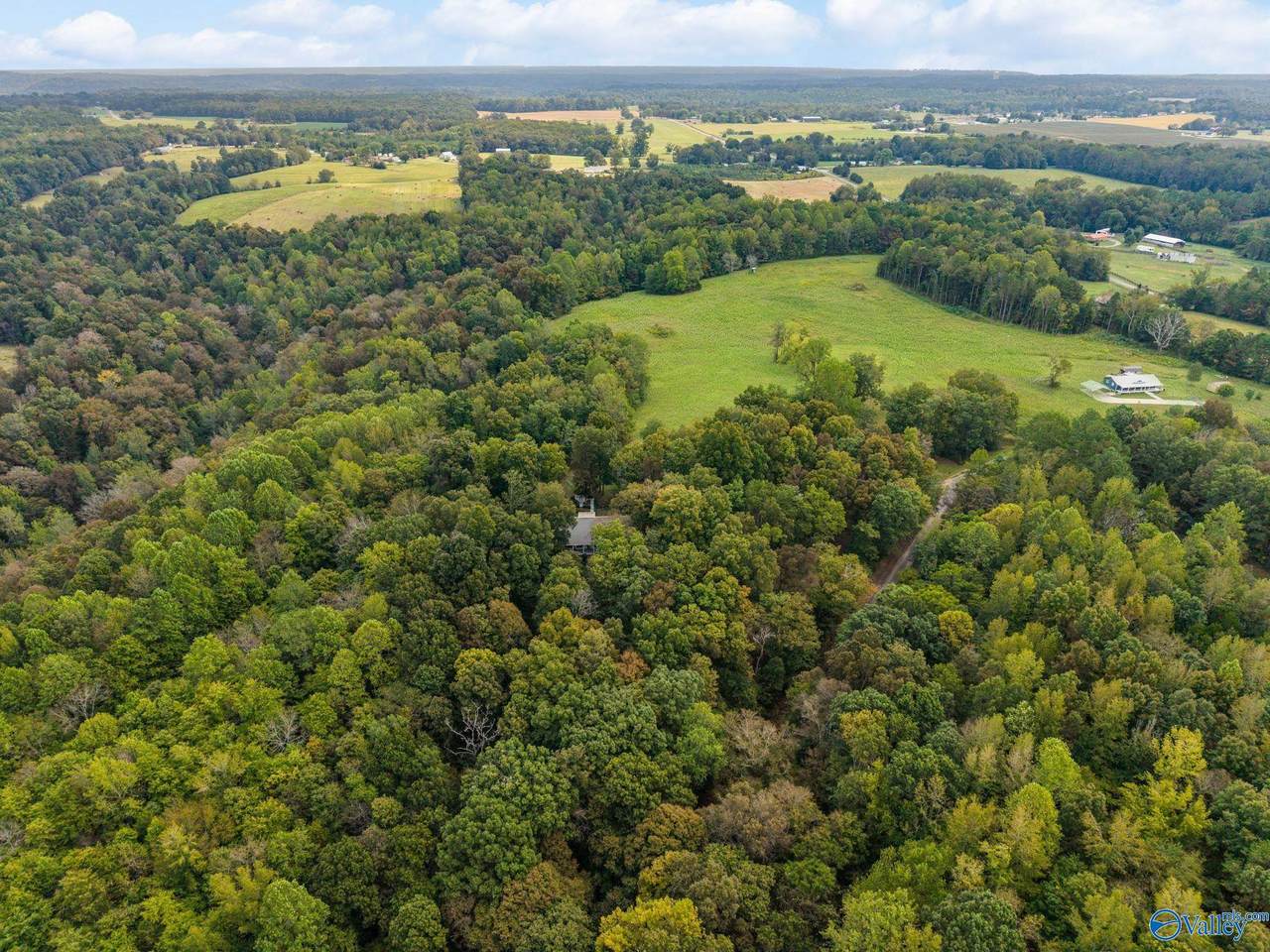 13.2 Acres Aunt Ann Hill Road - Photo 1