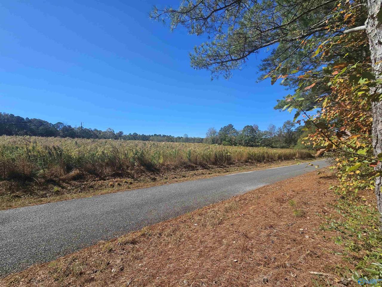 009 County Road 70 - Photo 1