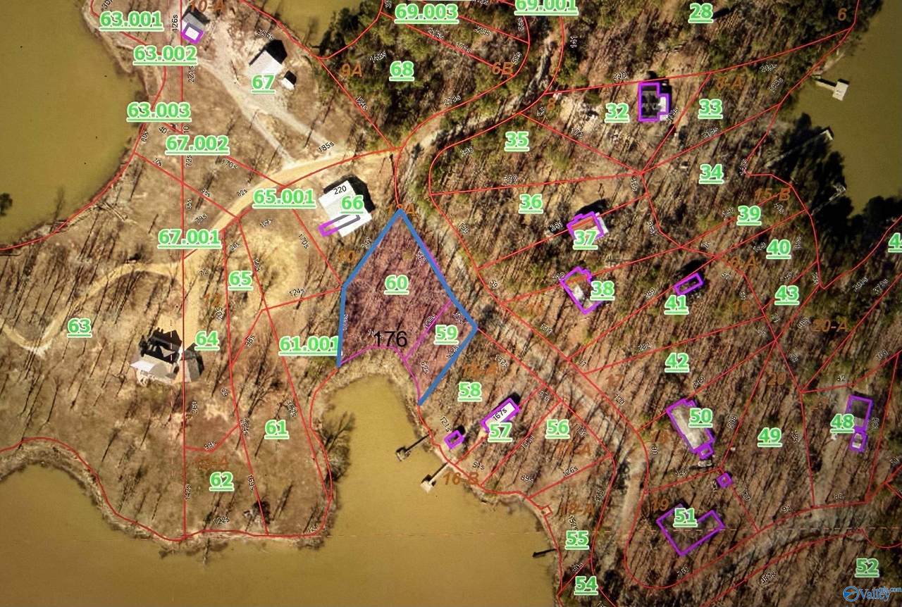 13 & 14 County Road 671 - Photo 1