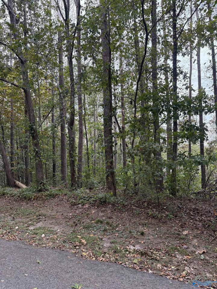 LOT 105 Creekwood Drive - Photo 1