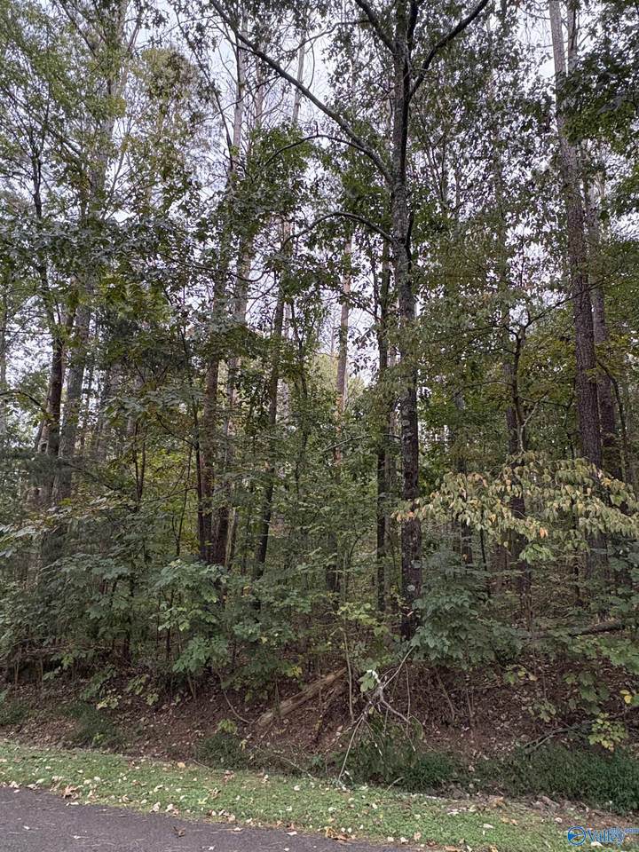 Lot 131 Pinecrest Drive - Photo 1