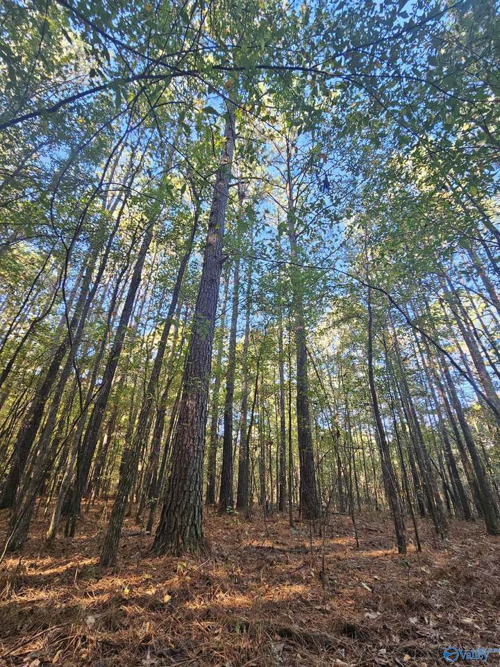 009 County Road 6 - Photo 1