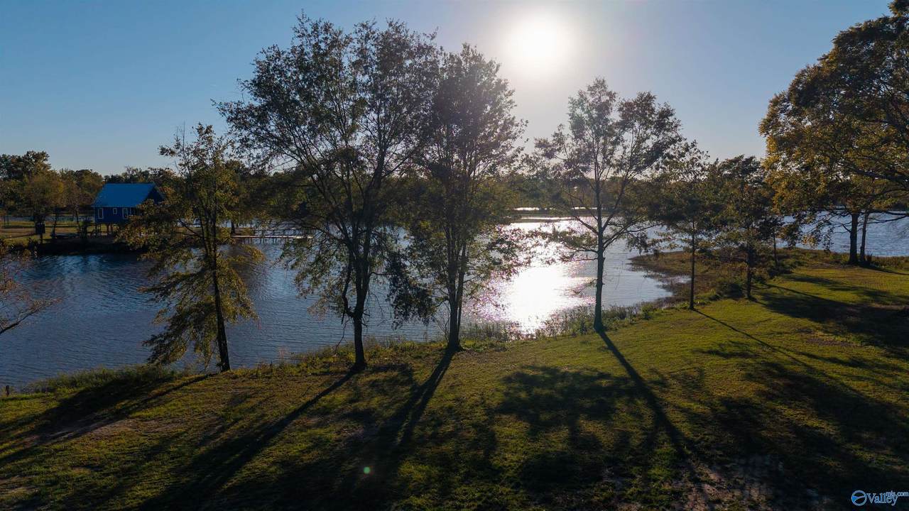 Lot 36 County Road 115 - Photo 1