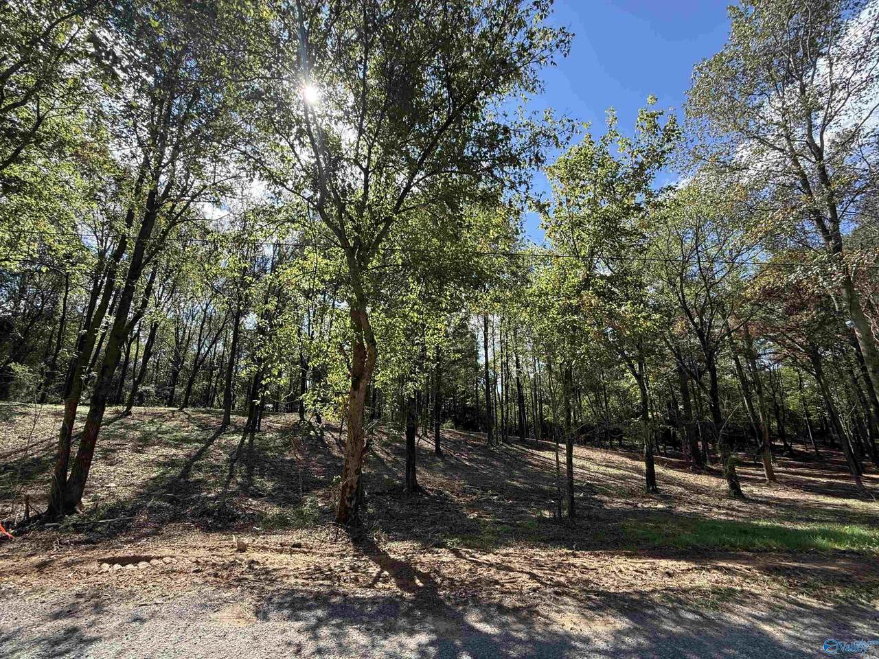 #12B County Road 1123 - Photo 1