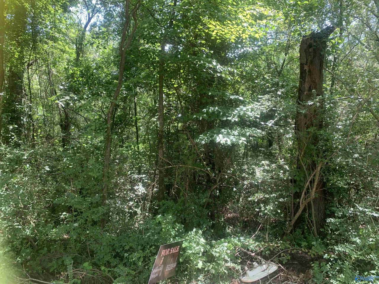 999 Brewer Street - Photo 1