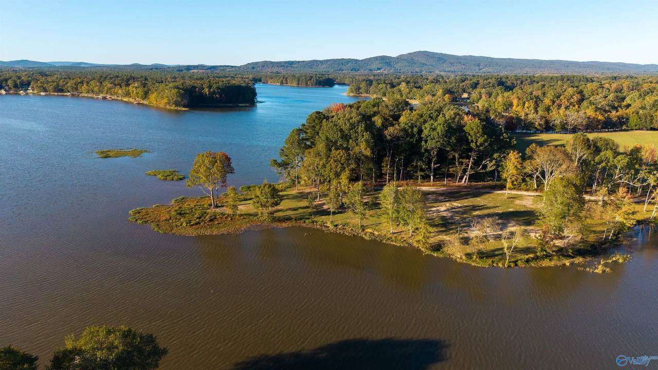 Lot 30 County Road 115 - Photo 1