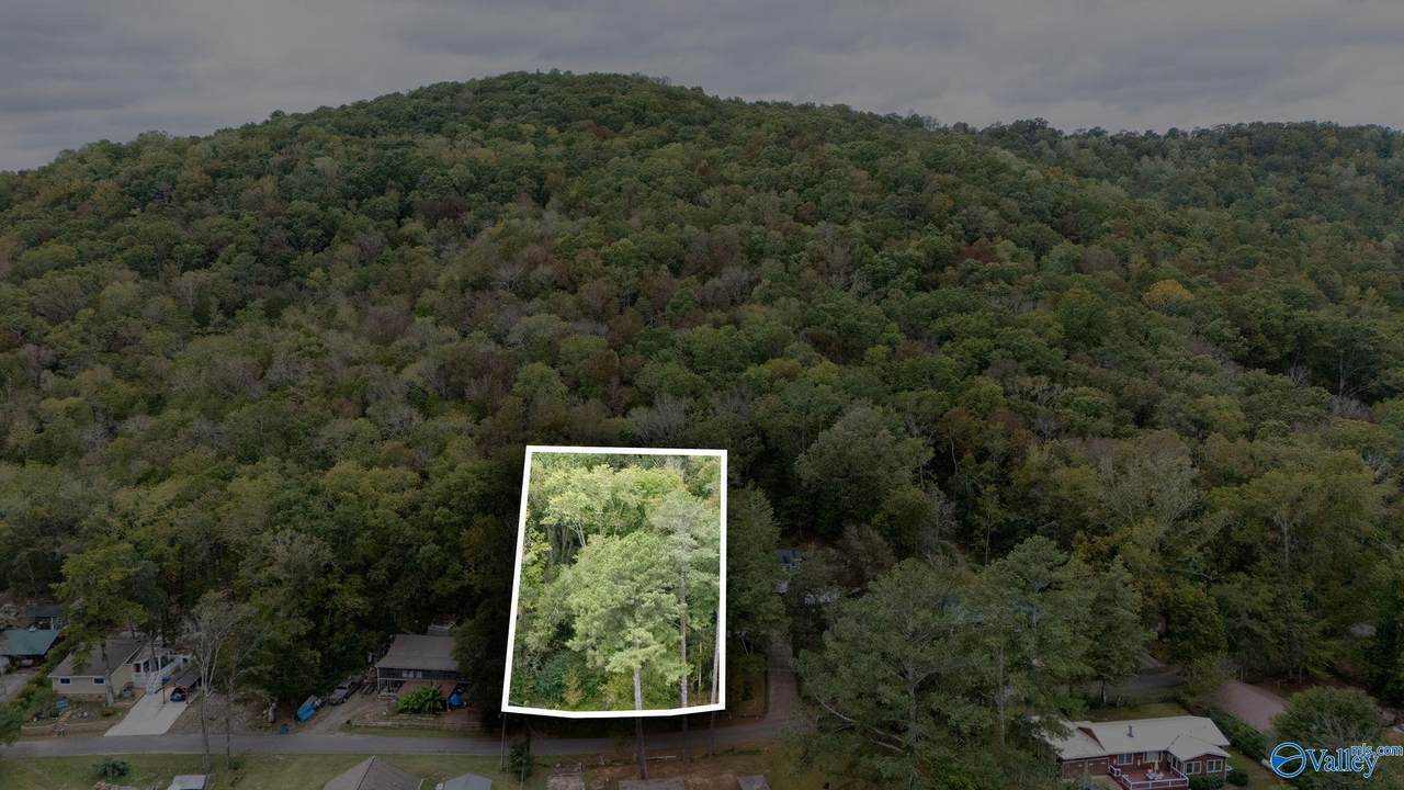 135 Honeycomb Valley Road - Photo 1