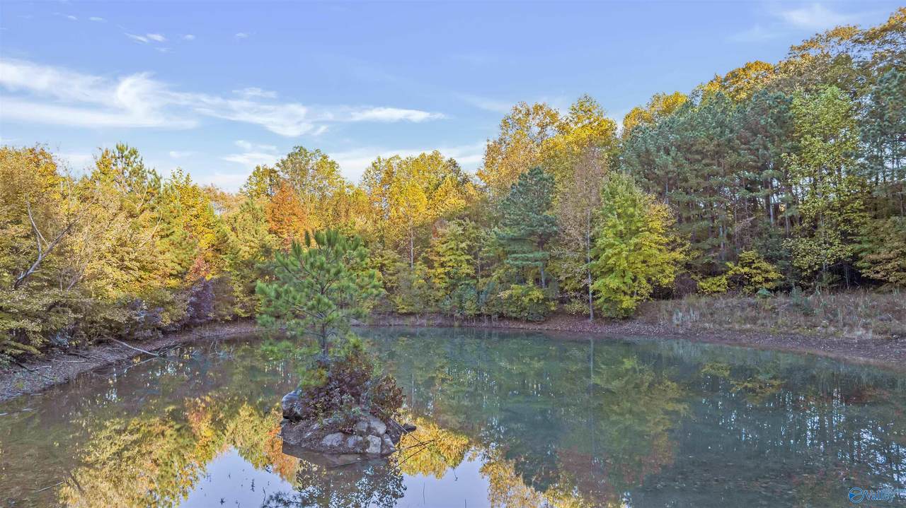 10.57 acres County Road 166 - Photo 1