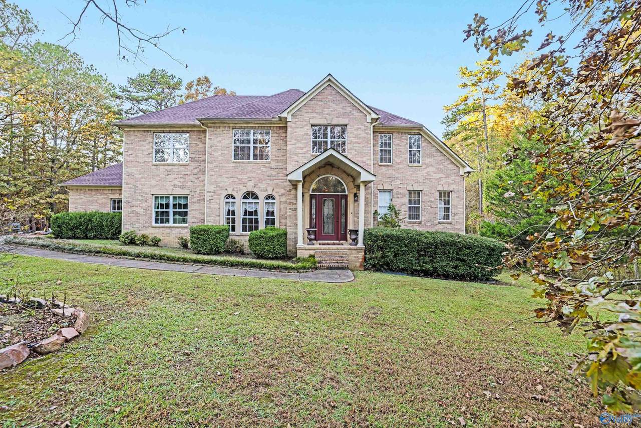 245 Turkey Town Road - Photo 1