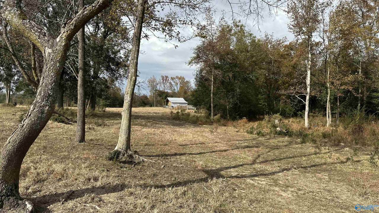 TBD Mt Carmel Road - Photo 1