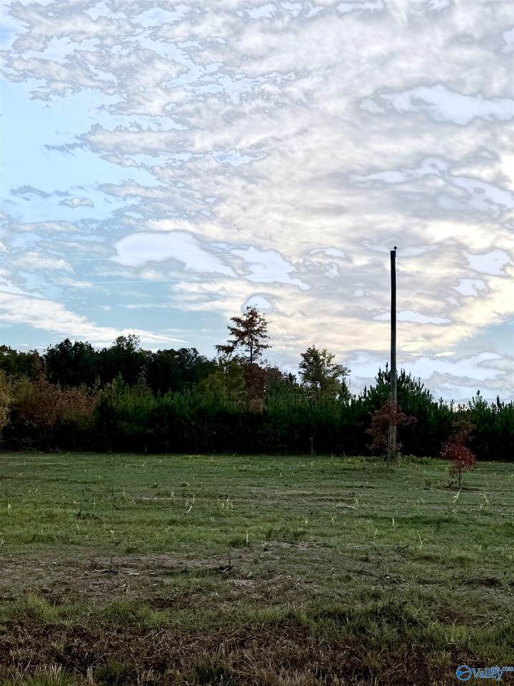 Lot 10 County Road 39 - Photo 1