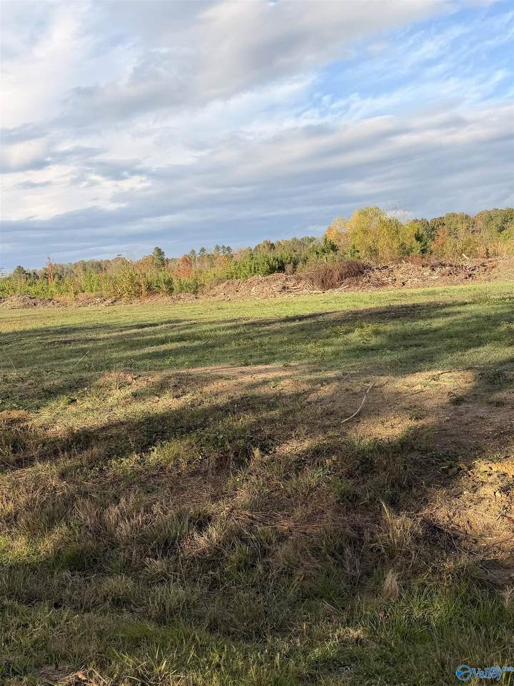 Lot 13 County Road 39 - Photo 1