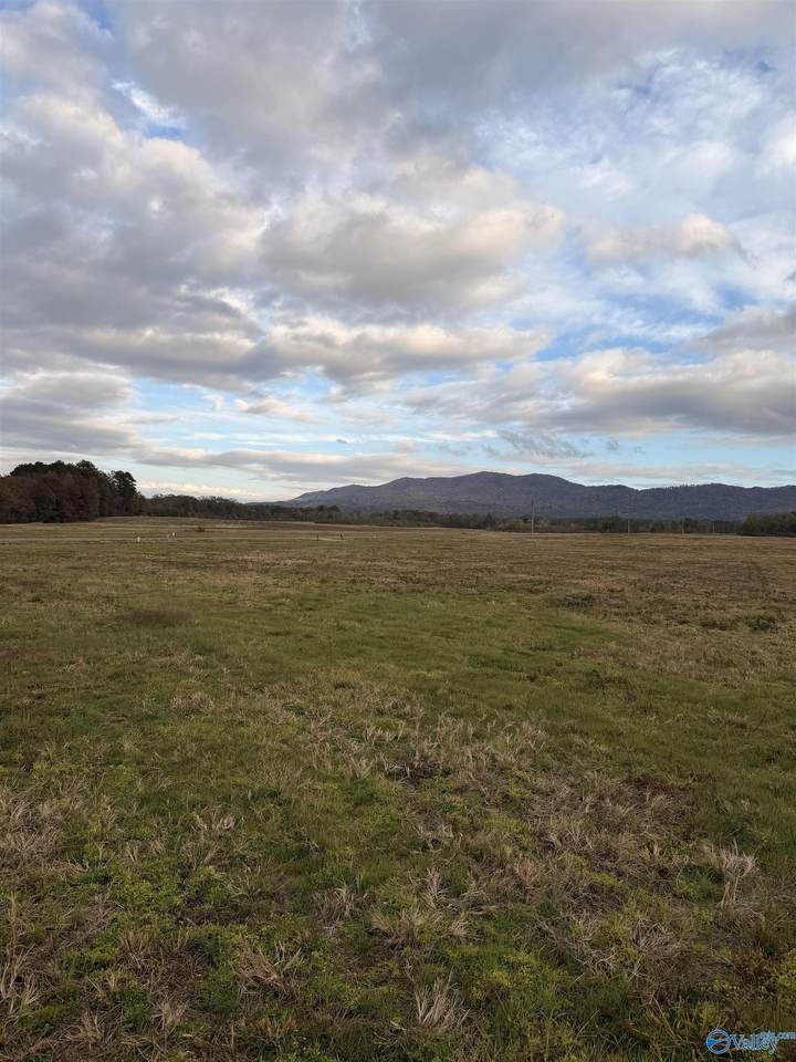 Lot 51 County Road 32 - Photo 1