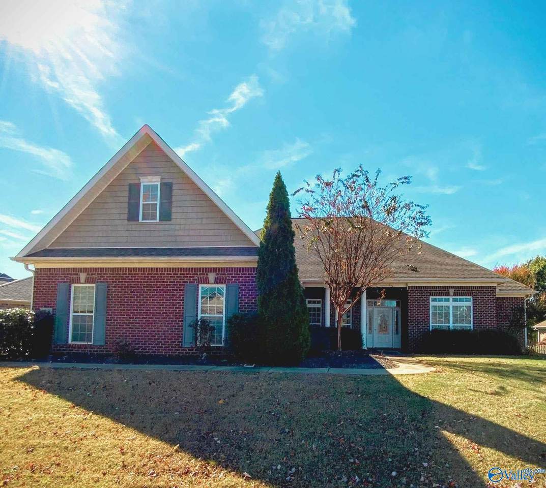 133 Mill Park Lane - Photo 1