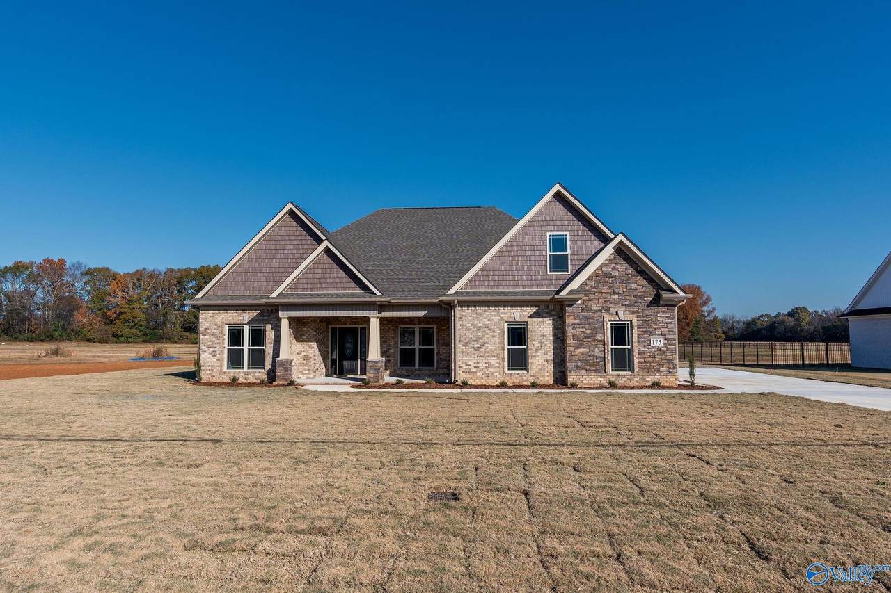 175 Pike Parvin Road - Photo 1