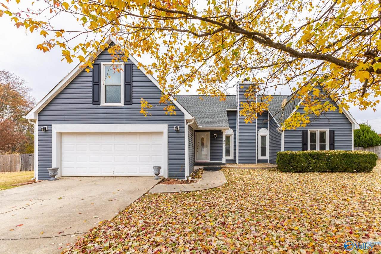 241 Pin Oak Drive - Photo 1