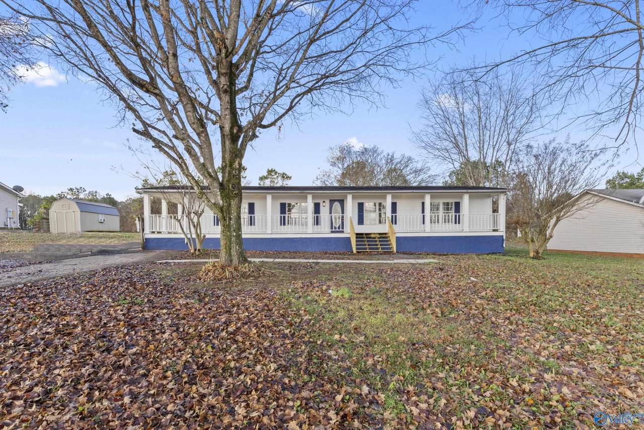 1051 Steger Road - Photo 1